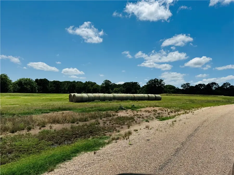 Track 4 Hudson Farms Rd, Franklin, TX 77856 - #2
