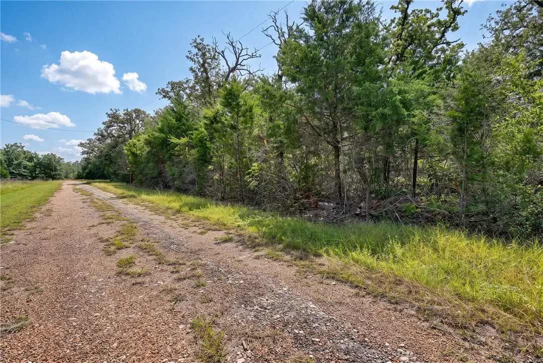 0 E Lois Lane, Somerville, TX 77879 - #1