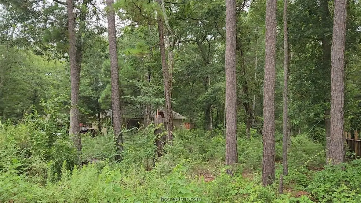 Lot 38 White Oak Drive, Plantersville, TX 77363 - #1