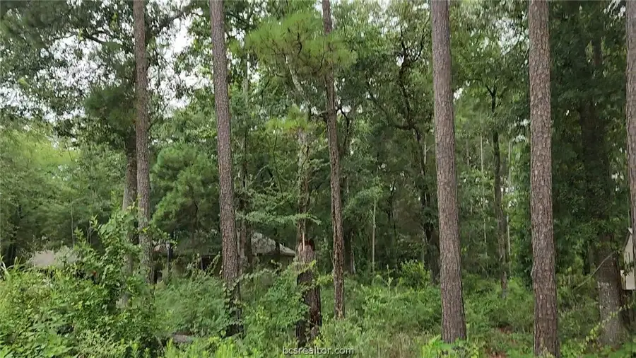 Lot 38 White Oak Drive, Plantersville, TX 77363 - #3