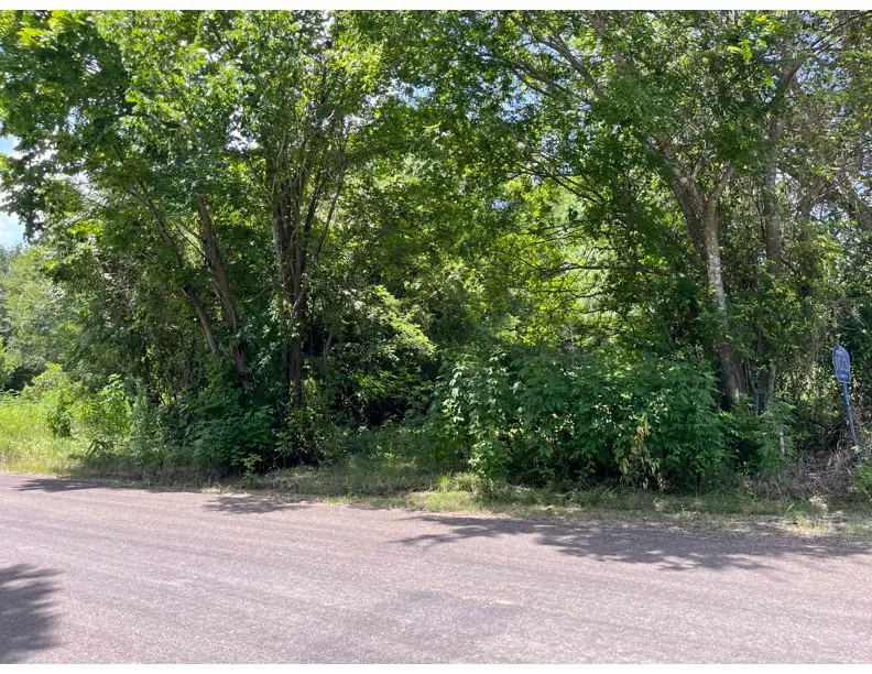 26847 Fm39, North Zulch, TX 77872 - #1