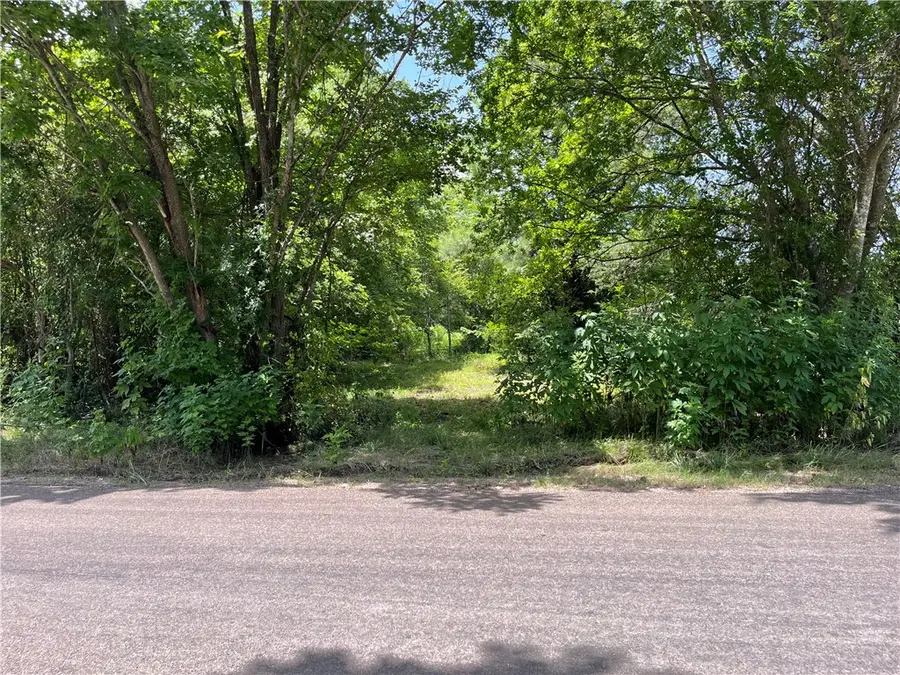 26847 Fm39, North Zulch, TX 77872 - #2