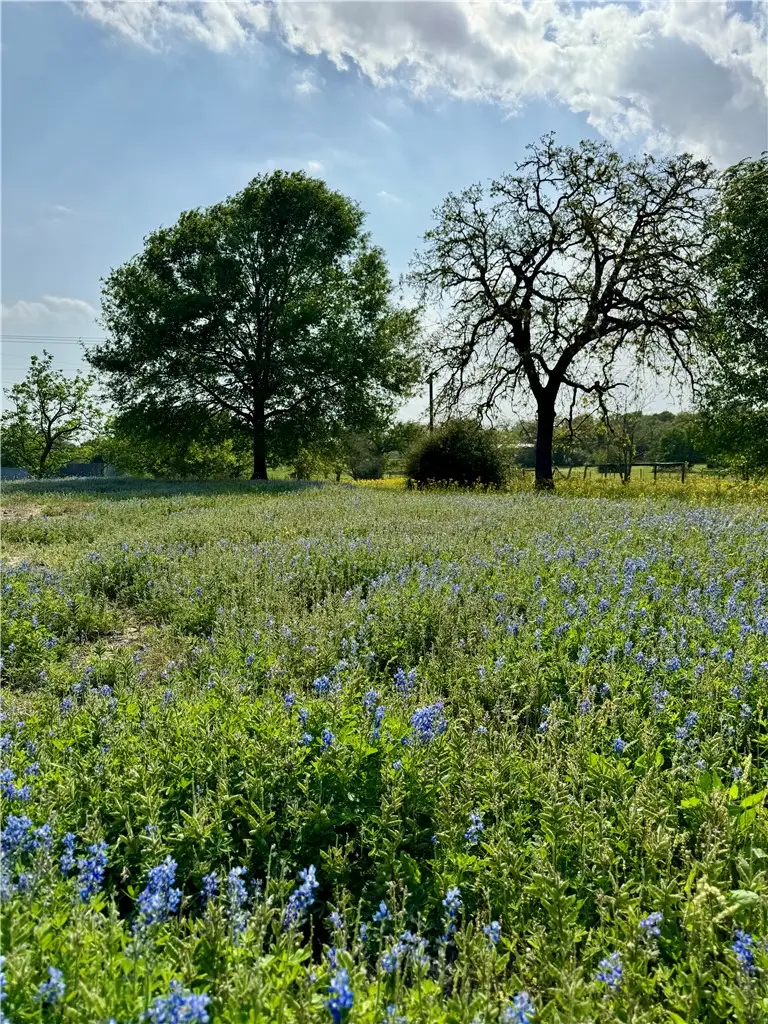 15420 Arhopulos Road, College Station, TX 77845 - #2