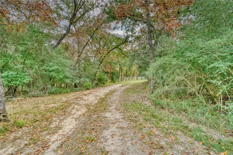10232 Riley Green Road, Franklin, TX 77856 - #2