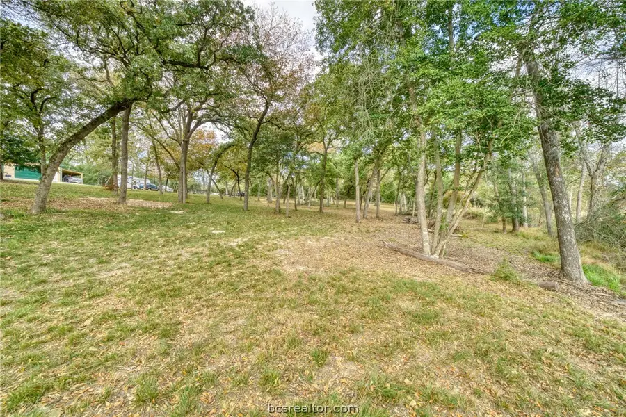 10232 Riley Green Road, Franklin, TX 77856 - #3