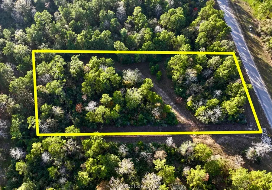 10622 Ruger Road, Willis, TX 77378 - #3