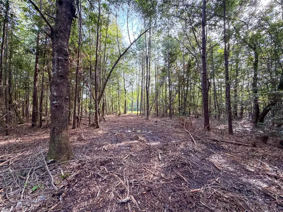 03 Fm 787, Saratoga Batson, TX 77585 - #3