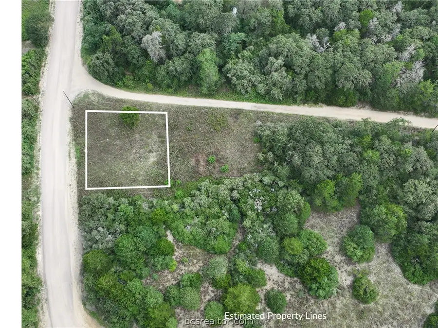Lots 1&3 Fir Drive, Caldwell, TX 77836 - #2