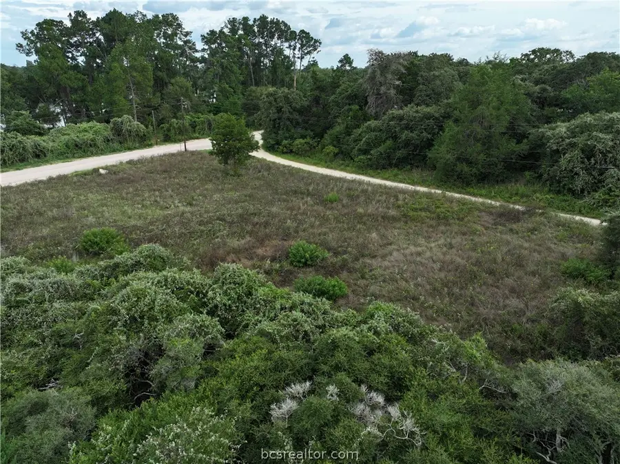 Lots 1&3 Fir Drive, Caldwell, TX 77836 - #3