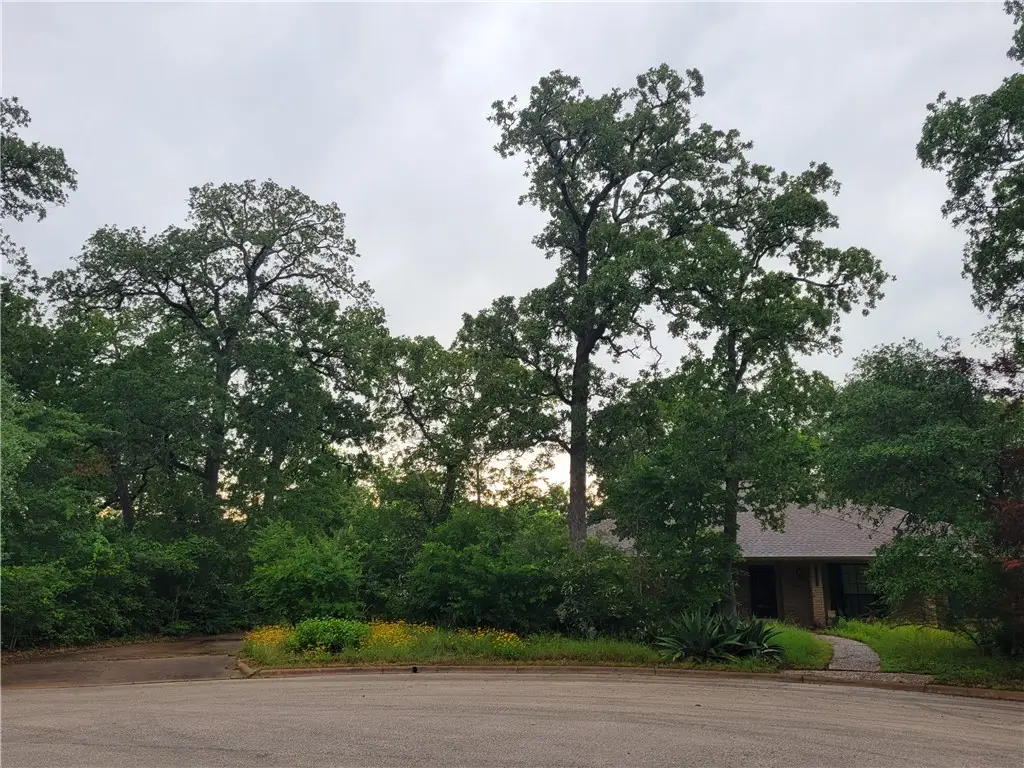 2707 Teakwood Court, College Station, TX 77845 - #1