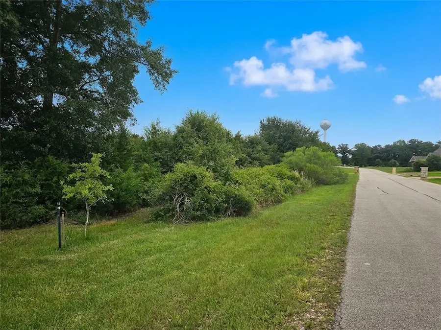 10069 Oxford Lane, Iola, TX 77861 - #2