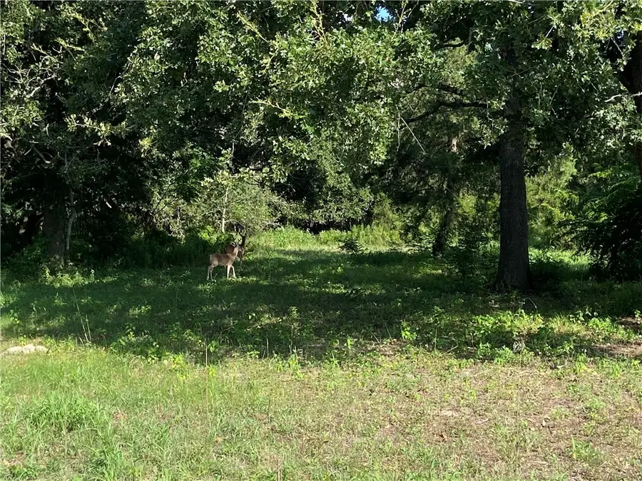 571 Railroad Street, Somerville, TX 77879 - #2