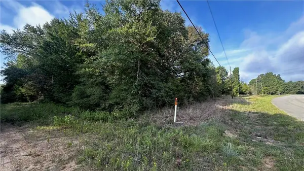 TBD Overhill Circle, Hilltop Lakes, TX 77871