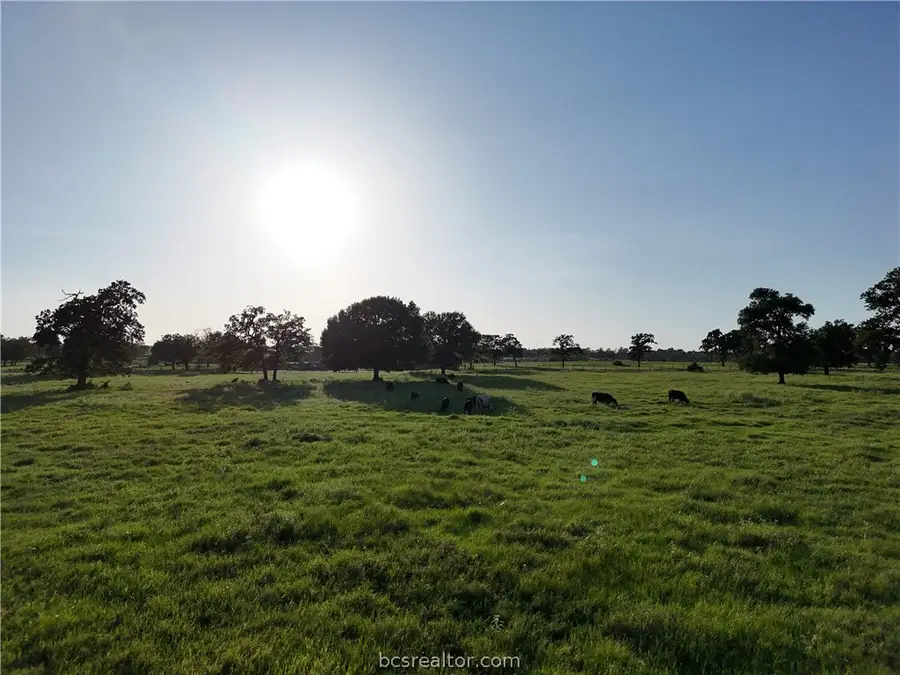 8600 Fm 1361, Snook, TX 77878 - #3