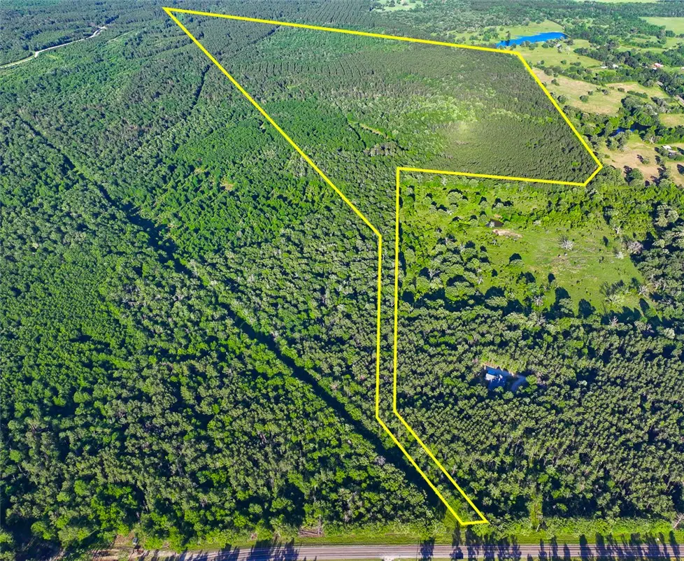 00 Fm 230, Lovelady, TX 75851 - #1