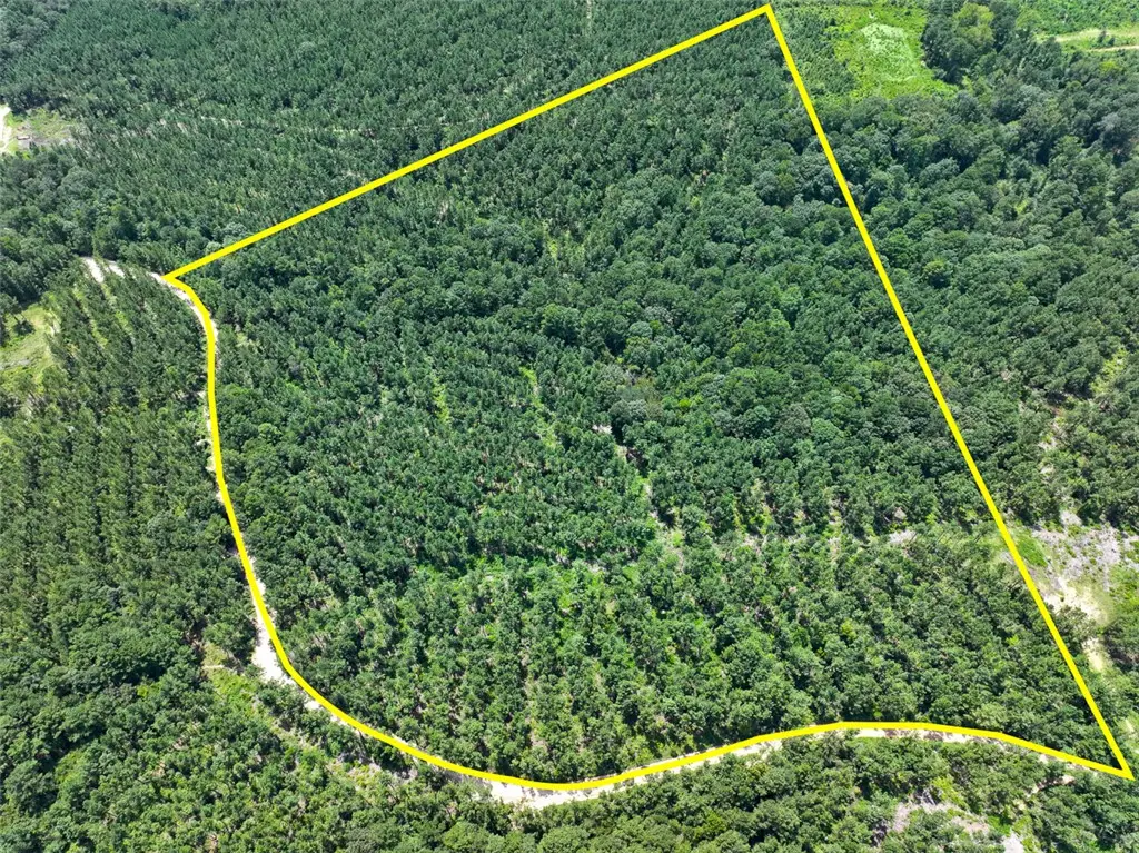 32 Ac Slim Palmer Rd., Other, TX 75980 - #1