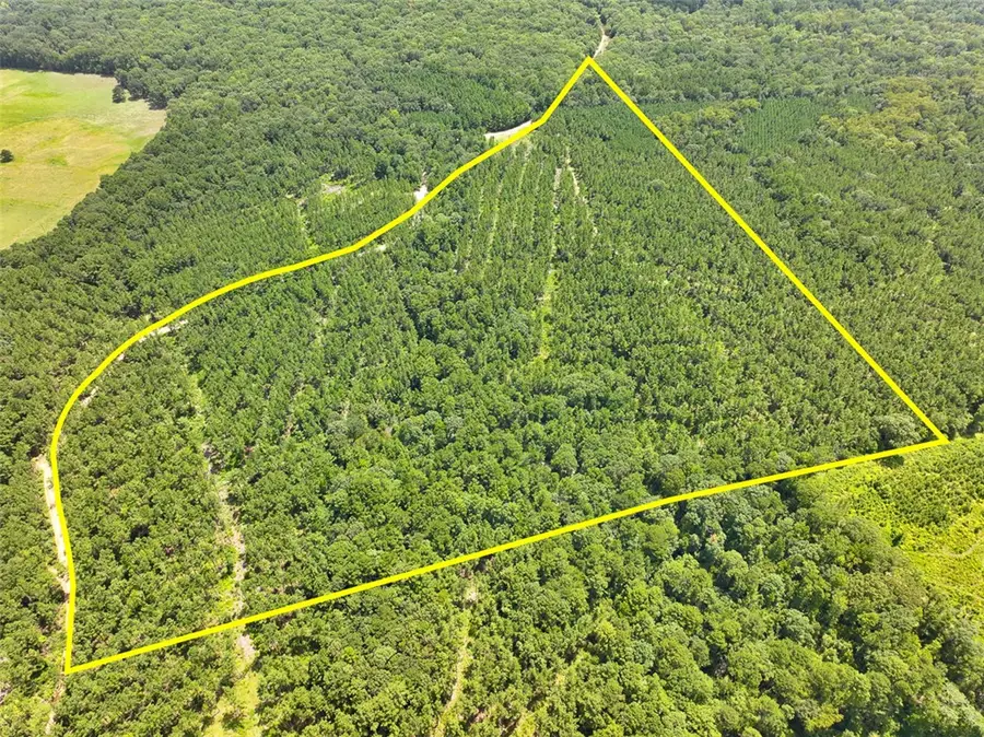 32 Ac Slim Palmer Rd., Other, TX 75980 - #2