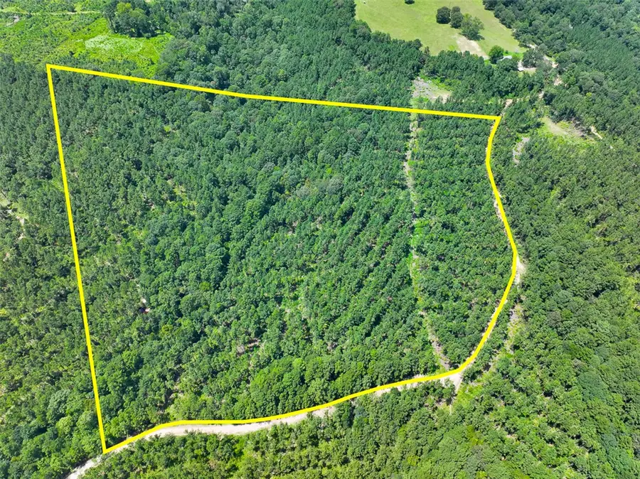32 Ac Slim Palmer Rd., Other, TX 75980 - #3