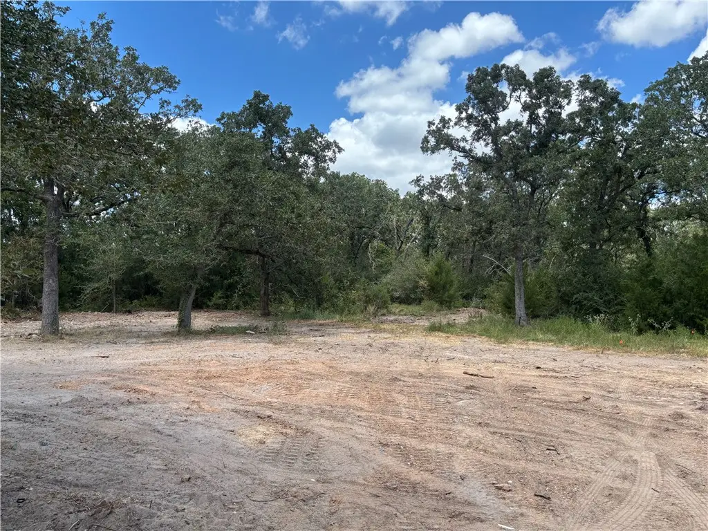 6042 Straub, College Station, TX 77845 - #1