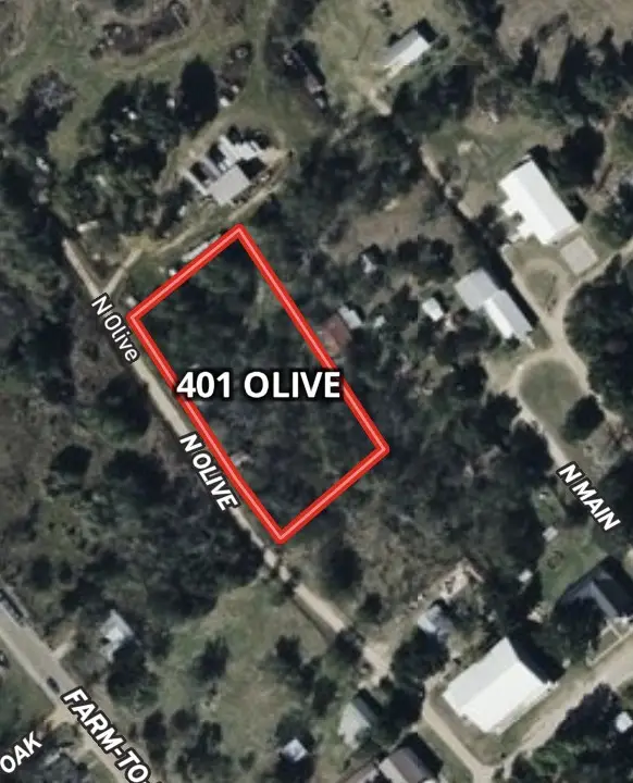 401 Olive, Gause, TX 77857 - #2