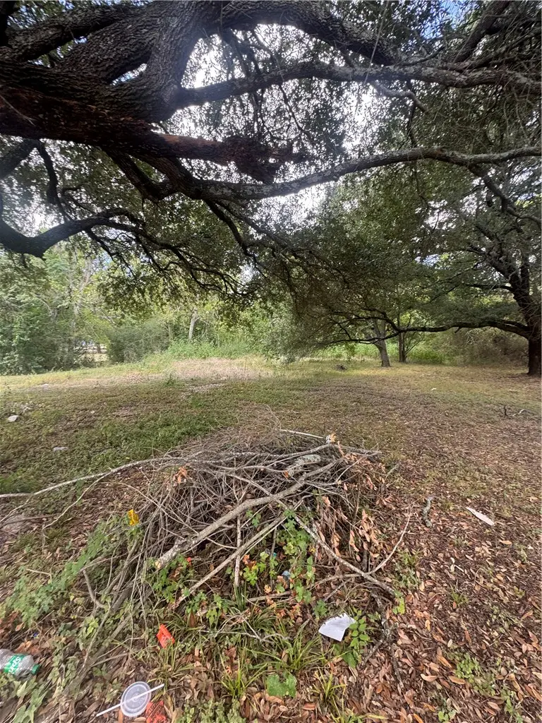 710 E Martin Luther King Jr Street, Bryan, TX 77803 - #1