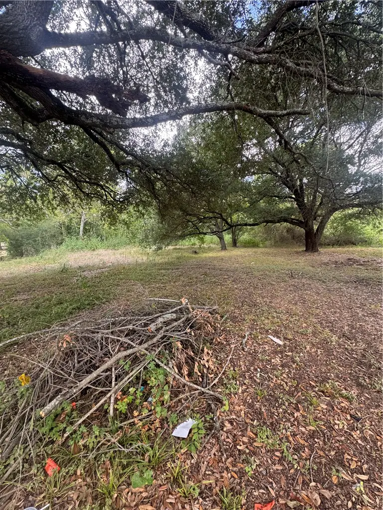 710 E Martin Luther King Jr Street, Bryan, TX 77803 - #2