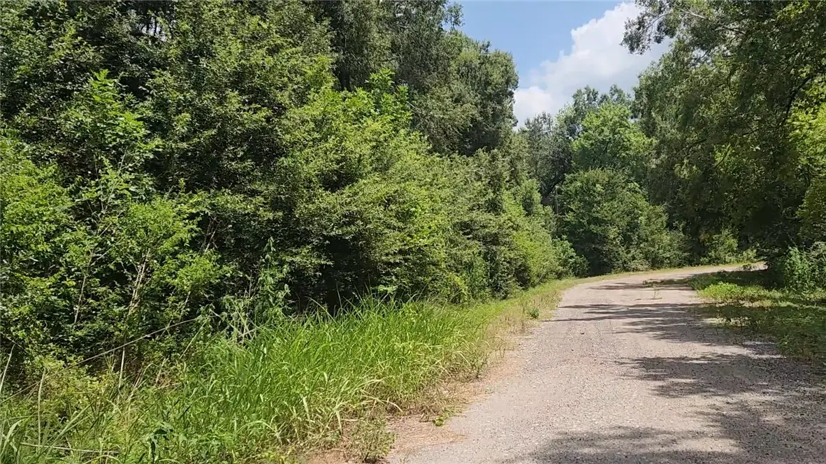Lot 61 W Essex Road, Conroe, TX 77302 - #1