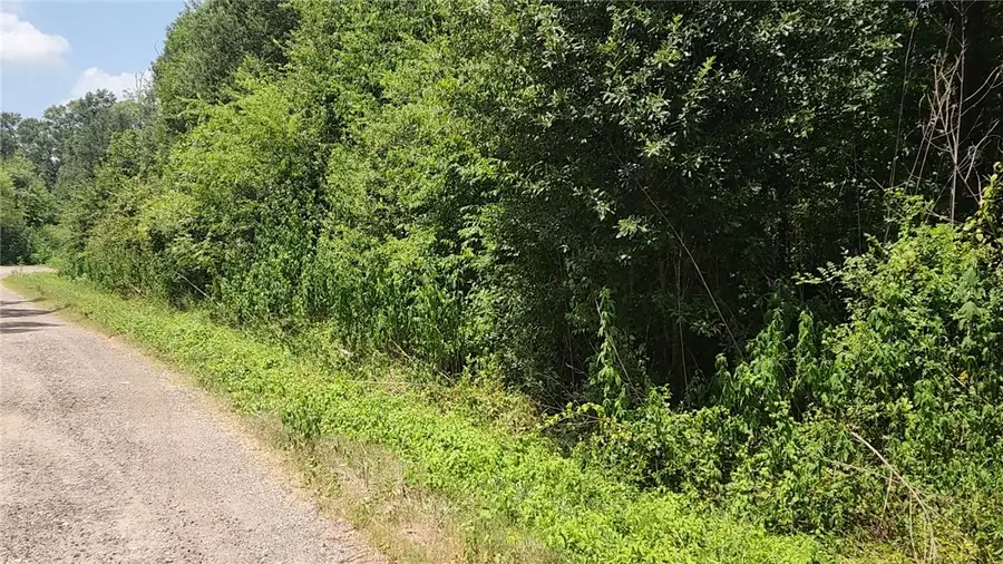 Lot 61 W Essex Road, Conroe, TX 77302 - #2