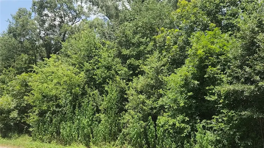 Lot 61 W Essex Road, Conroe, TX 77302 - #3
