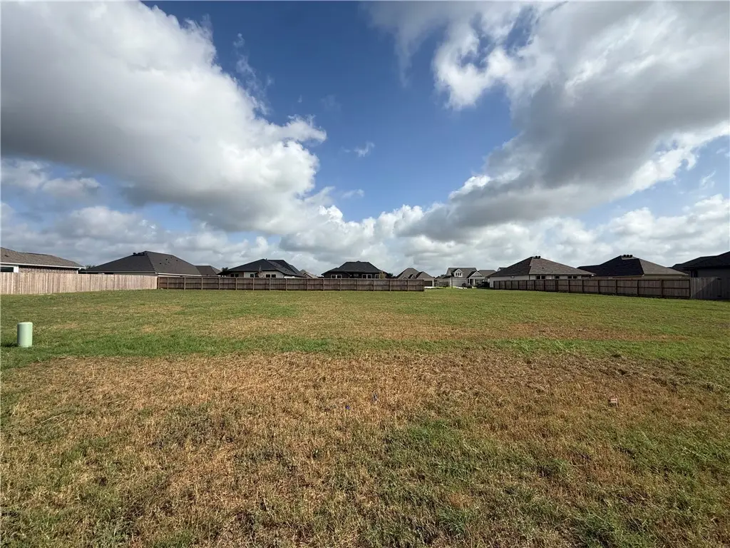 7808 Leadtree Drive, Navasota, TX 77868 - #1