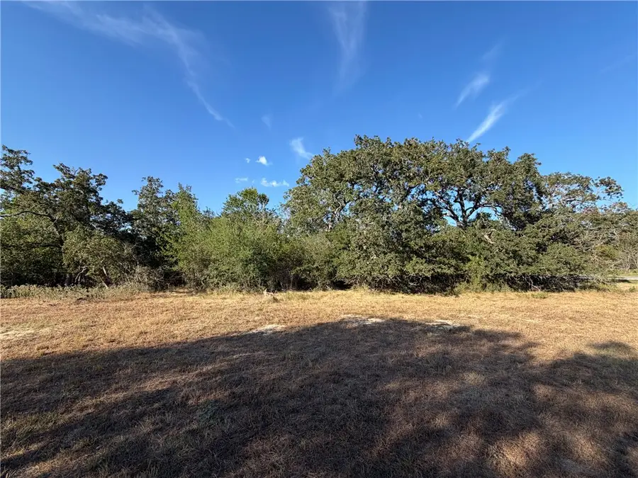Lot 4 Little Brave Trail, College Station, TX 77845 - #3