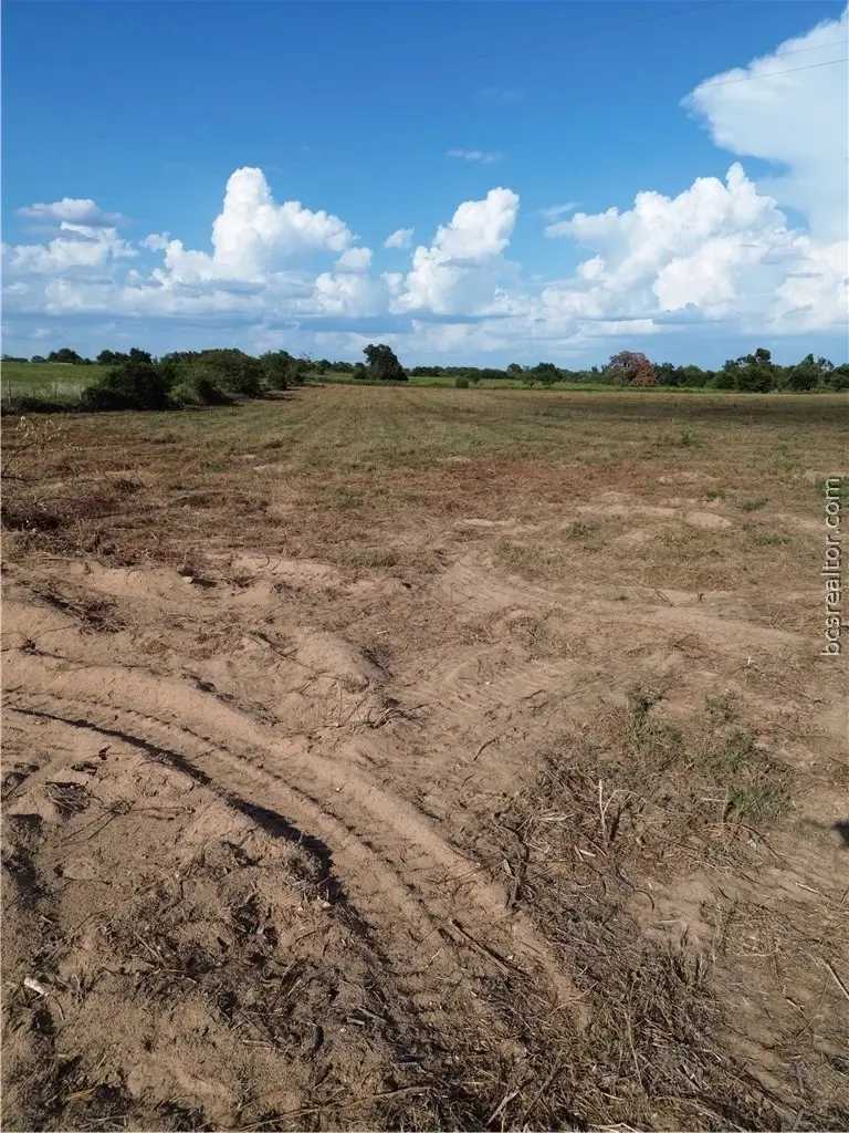0 Grant Prairie, Franklin, TX 77856 - #2