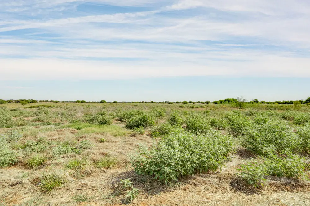 4622 Ruger Way, Bryan, TX 77808 - #1