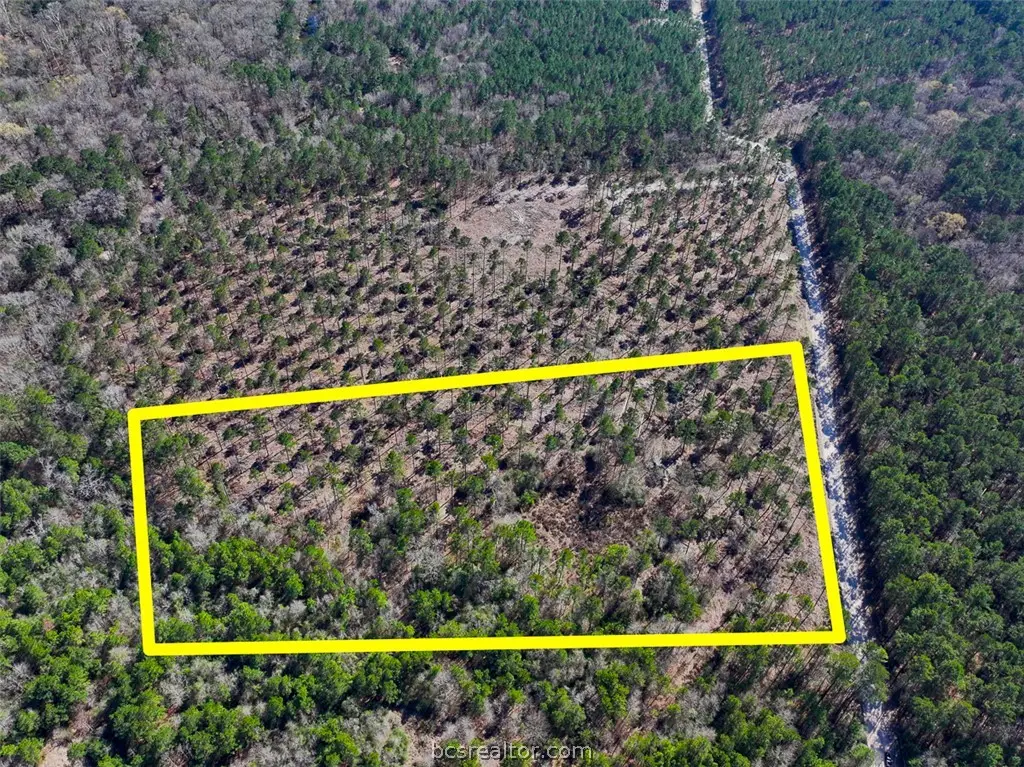 T-1 Boontown Road, Trinity, TX 75845 - #1