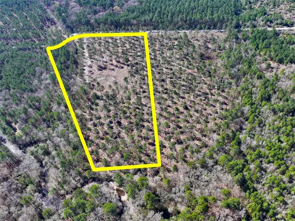 T-2 Boontown Road, Trinity, TX 75845