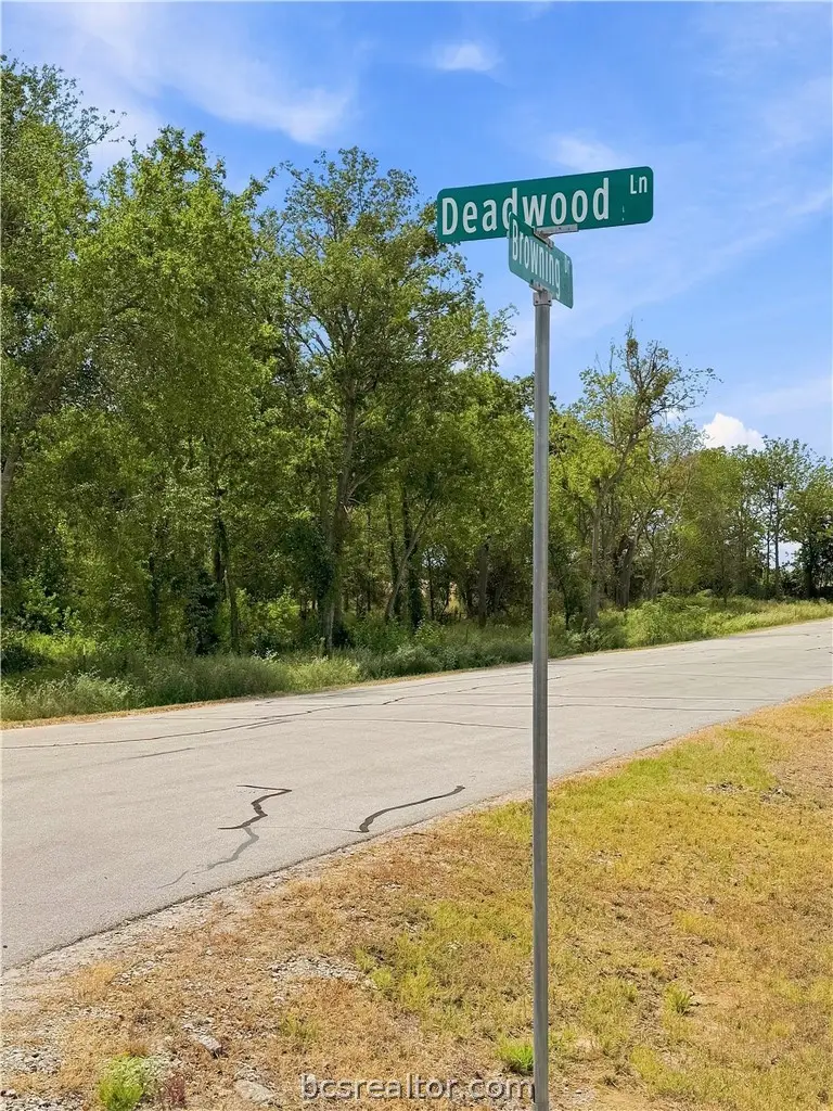 4688 Deadwood Lane, Bryan, TX 77808 - #3