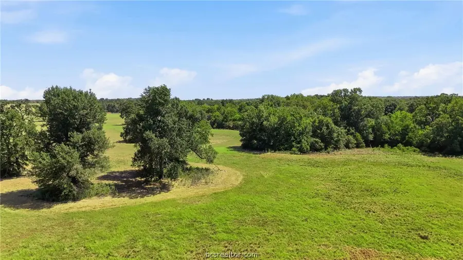 15.18 Acres Little Mississippi Cemetery Road, Franklin, TX 77856 - #2