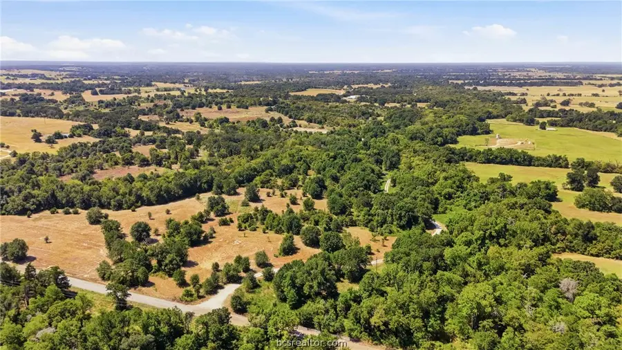 23.69 Acres Little Mississippi Cemetery Road, Franklin, TX 77856 - #3
