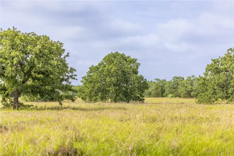 TBD Us Hwy 77 S, Giddings, TX 78942 - #3