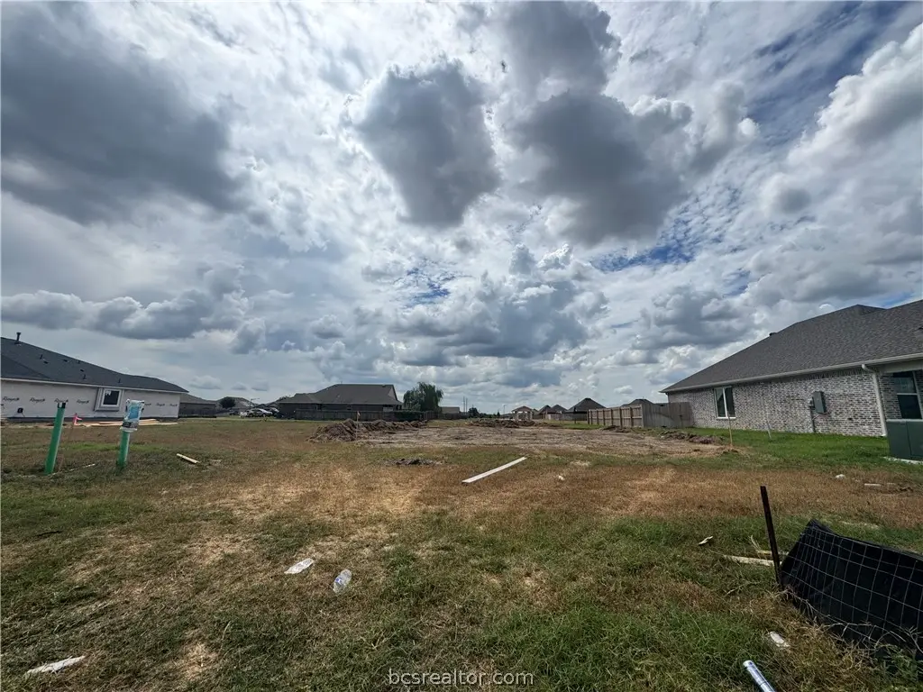 7805 Leadtree Drive, Navasota, TX 77868 - #1