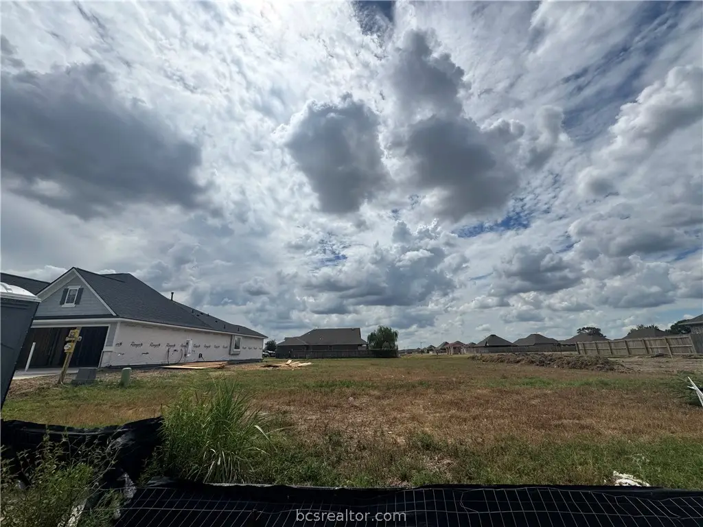 7803 Leadtree Drive, Navasota, TX 77868 - #1