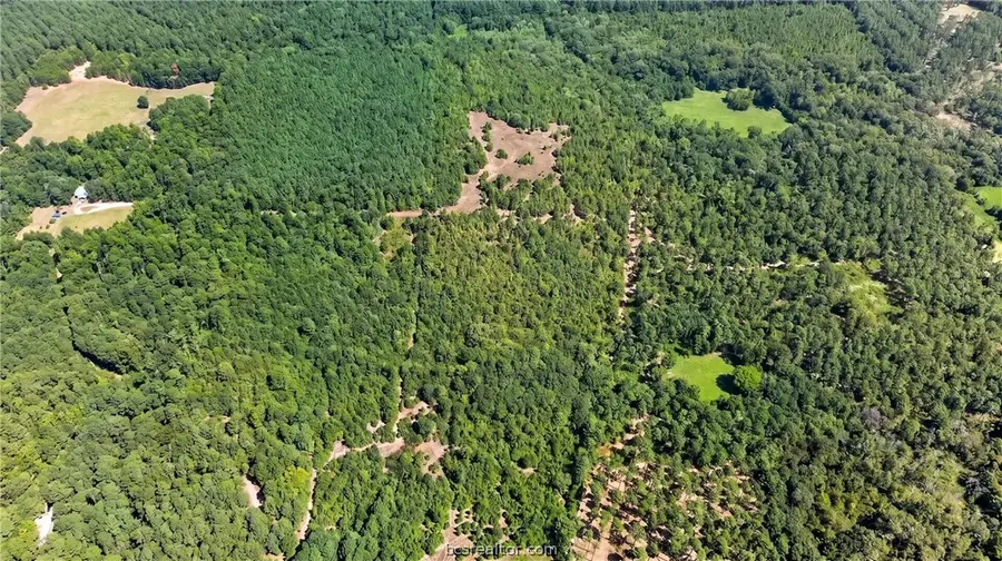10877 Fm 1972, Gilmer, TX 75645 - #2