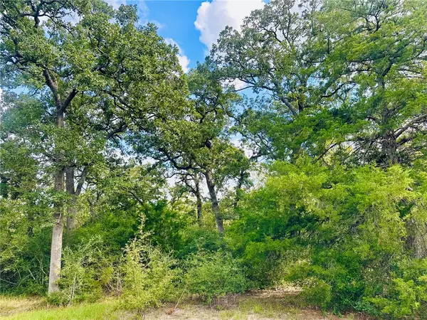 10559 Hampton Court, Iola, TX 77861