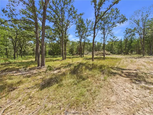 .57 Acres S Berry Ridge, Caldwell, TX 77836