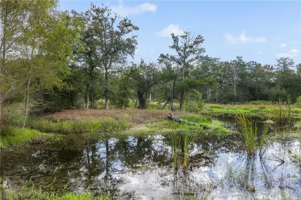 4141 Fm 60 W, Somerville, TX 77879