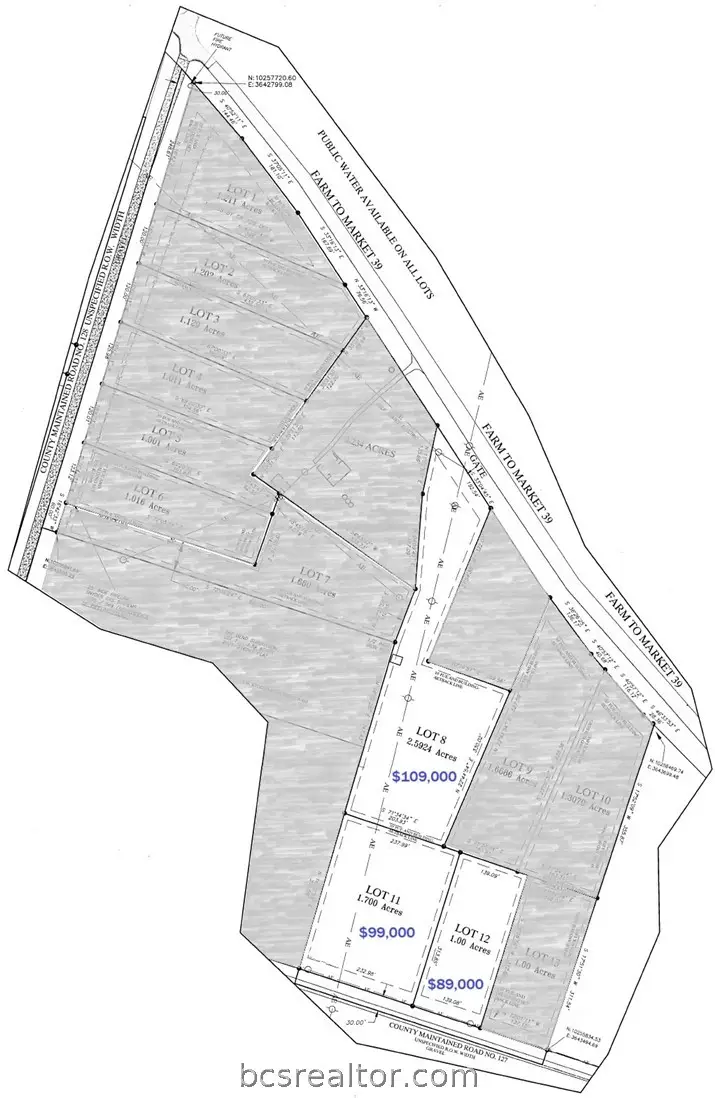 20067 Fm 39, Iola, TX 77861 - #2