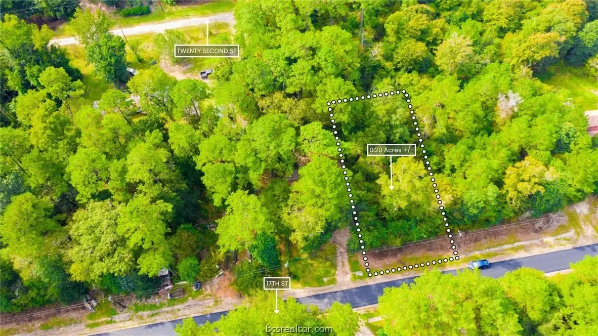 Lot 12 17th Street, Ivanhoe, TX 75979 - #1
