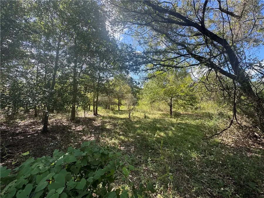 16547  TBD State Highway 105 W, Washington, TX 77880 - #2
