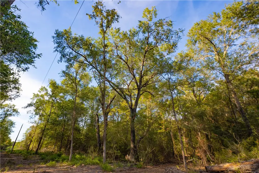 12416 Red Hill Rd, Lot 11 Countyroad, Hearne, TX 77859 - #2