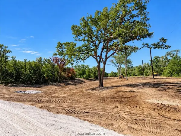 Lot 13-14 Meadow Street, Somerville, TX 77879